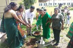 World-Environment-Day-BPP-School-6