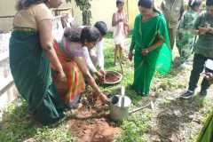 World-Environment-Day-BPP-School-8